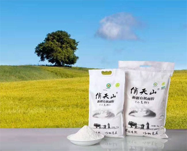 1718075971556623.jpg 圖2.jpg