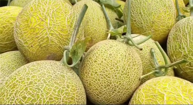 1718075980251151.jpg 圖3.jpg