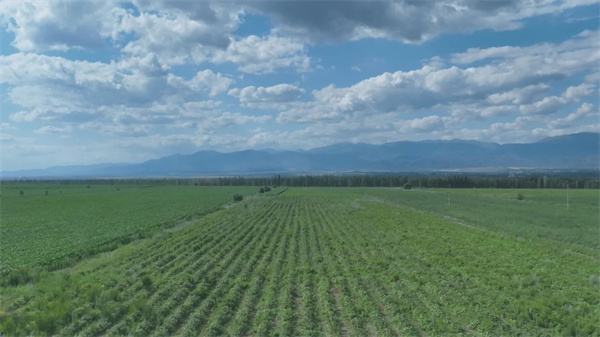 1722824471118828.jpg 圖1.jpg