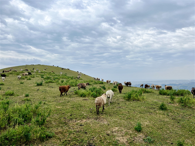 1757327441757081.jpg 圖2.jpg